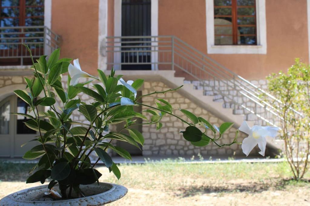 La Provencale Apartment Uzes Exterior photo
